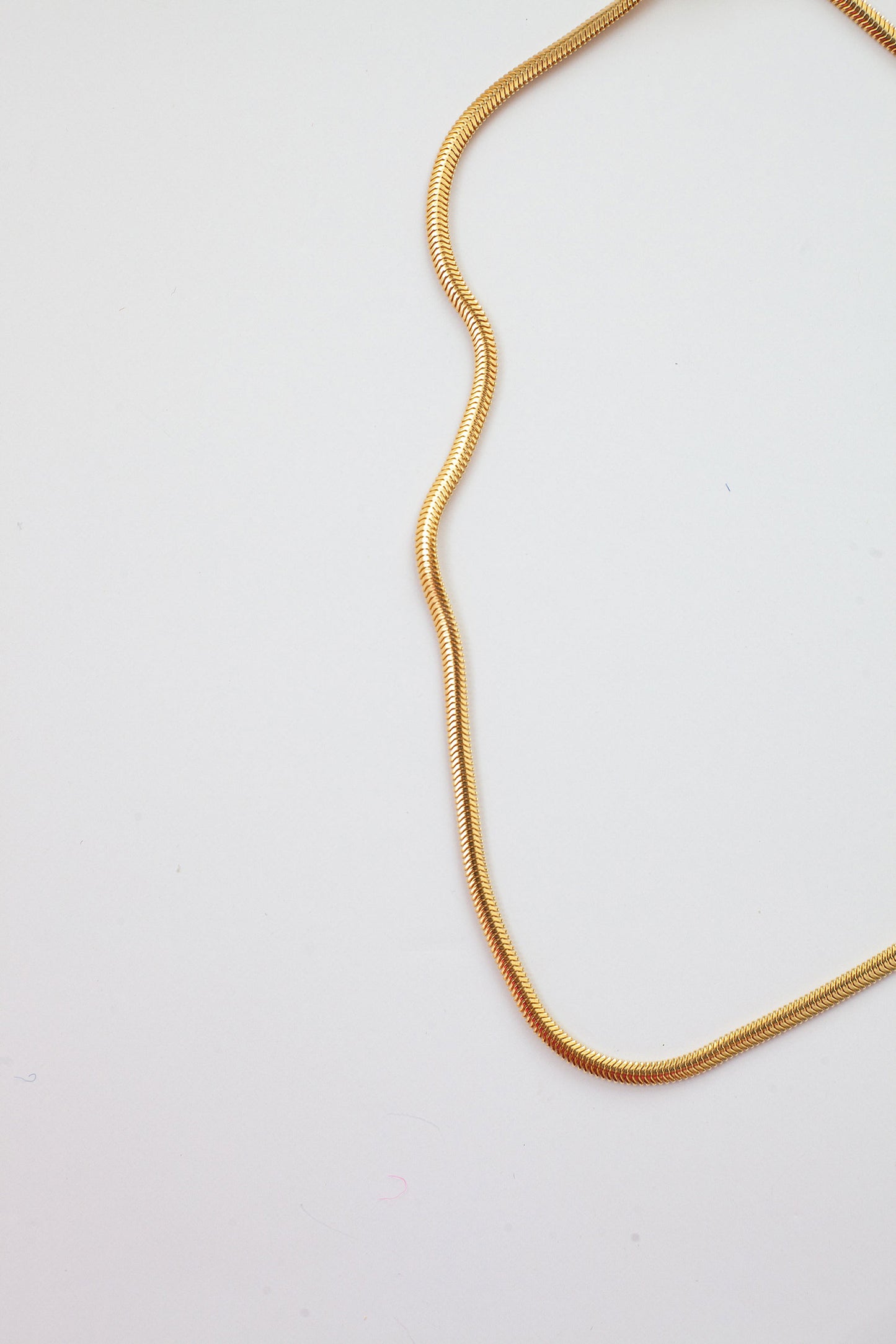 Snake Chain Necklace